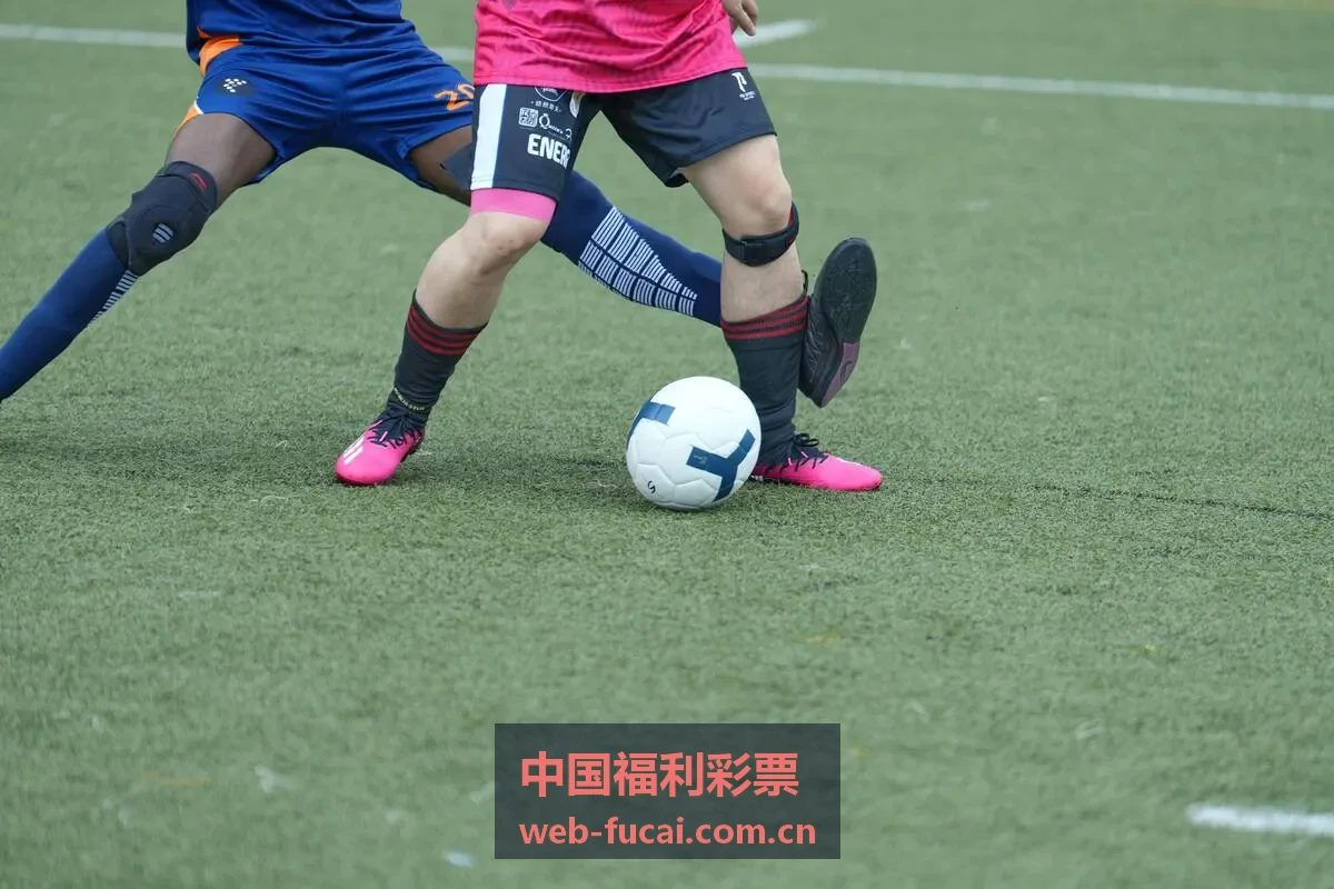 中国福利彩票福彩3D封面图